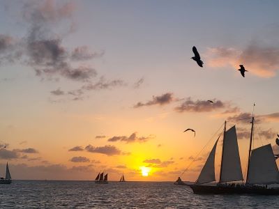 picture of sunset on ocean, birds, and boats