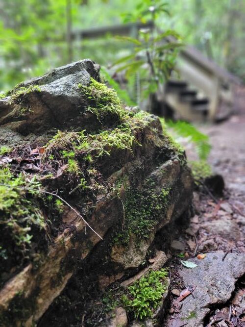 pic of rock with walking bridge in background