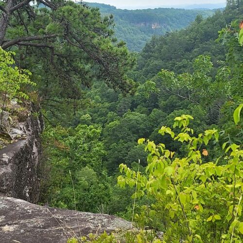 pic of ledge of rock outcrop